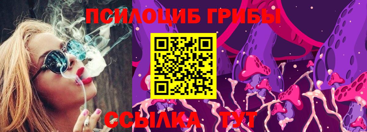 Галлюциногенные грибы мухоморы Кингисепп