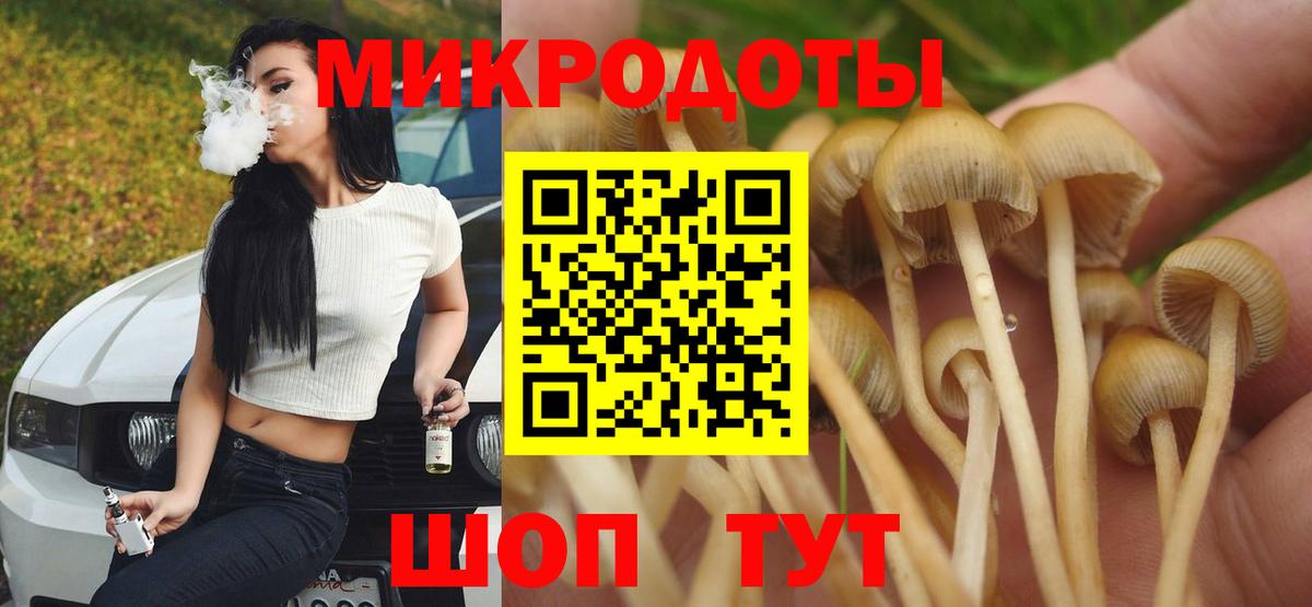 Галлюциногенные грибы прущие грибы  Вход с VPN  Кингисепп  Галлюциногенные грибы мицелий 